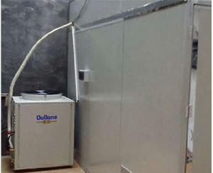 ?？邳S秋葵烘干